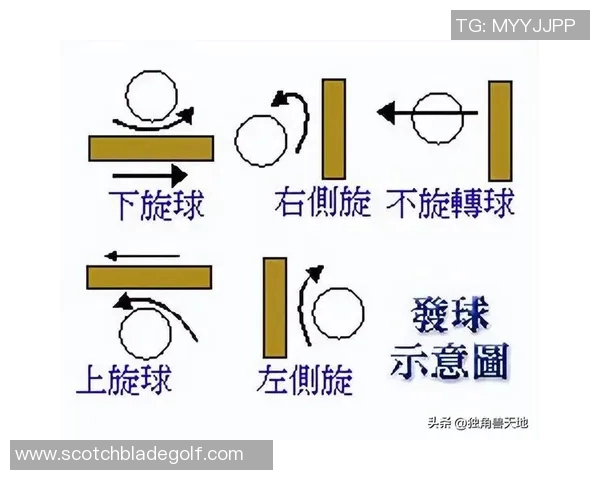 重庆乒乓球队的阵地战揭秘：深度解析乒乓球的战术与技巧