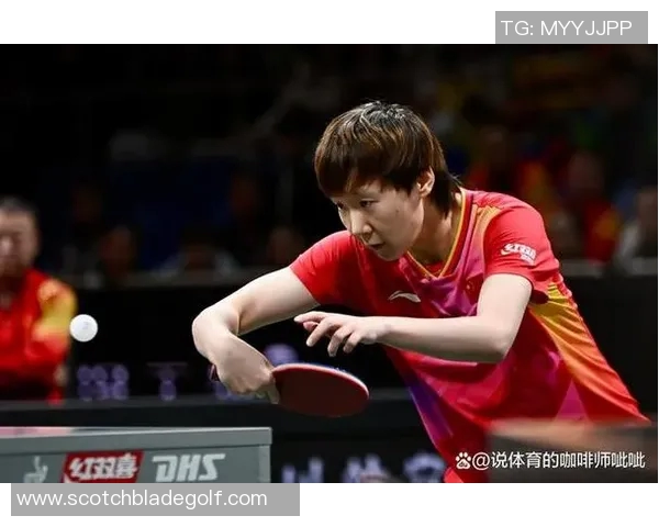 乒乓球比赛经验排行榜揭晓上海乒乓球队荣登第一名荣耀之巅