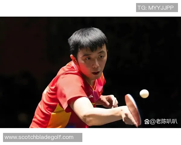 南京排球队的节奏探讨与技战术分析助力球队崛起之路