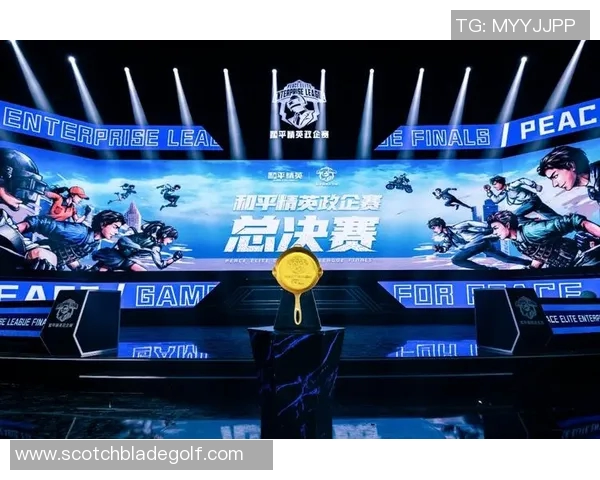 聚焦和平精英：探讨BLG团队协作背后的默契与策略