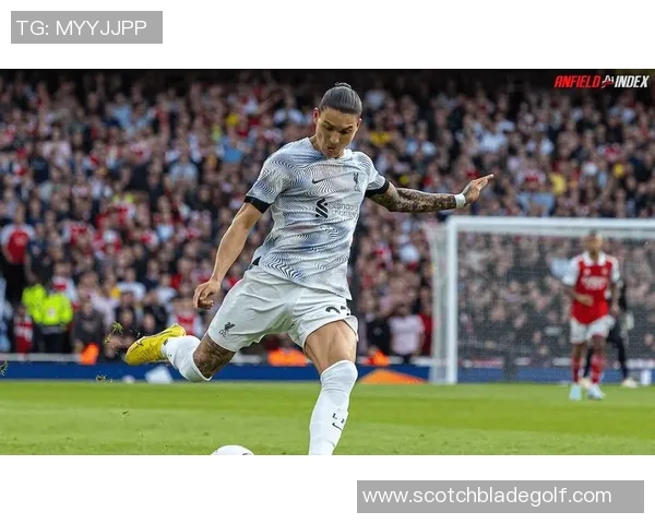 努涅斯在赛场上的崛起与挑战分析：从新星到顶级前锋的成长之路