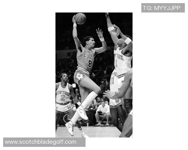 史鸿飞的传奇人生与时代变迁的深刻影响探讨