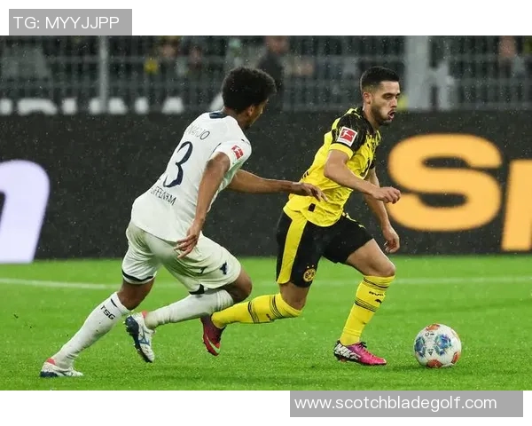 霍芬海姆主场迎战多特蒙德双方争夺关键积分的精彩对决