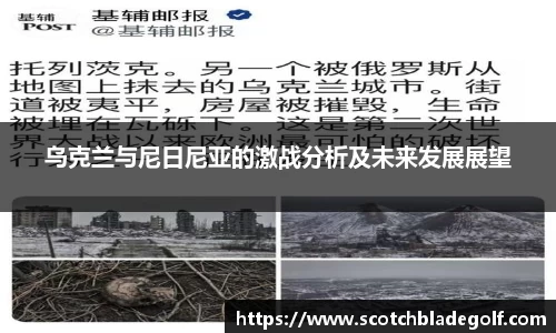 乌克兰与尼日尼亚的激战分析及未来发展展望