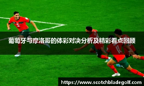 多宝官网